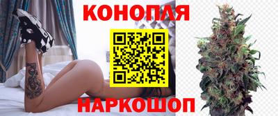 спайс Будённовск
