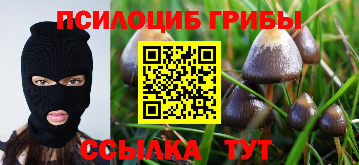 Осинники  Псилоцибиновые грибы Magic Shrooms  Галлюциногенные грибы Magic Shrooms  купить наркотики цена  Вход с VPN 