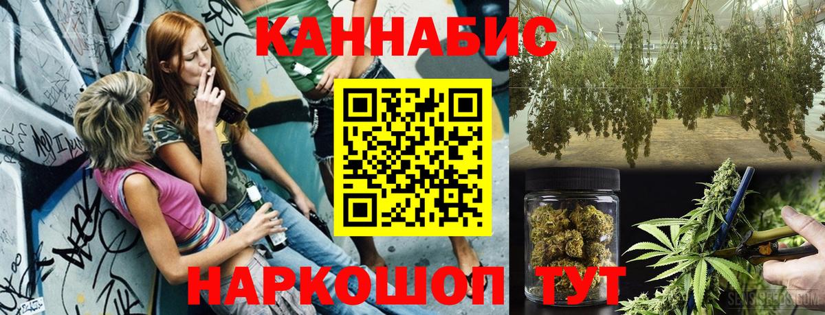 Осинники  Конопля планчик  Вход с VPN  МАРИХУАНА ГИДРОПОН  Конопля семена 
